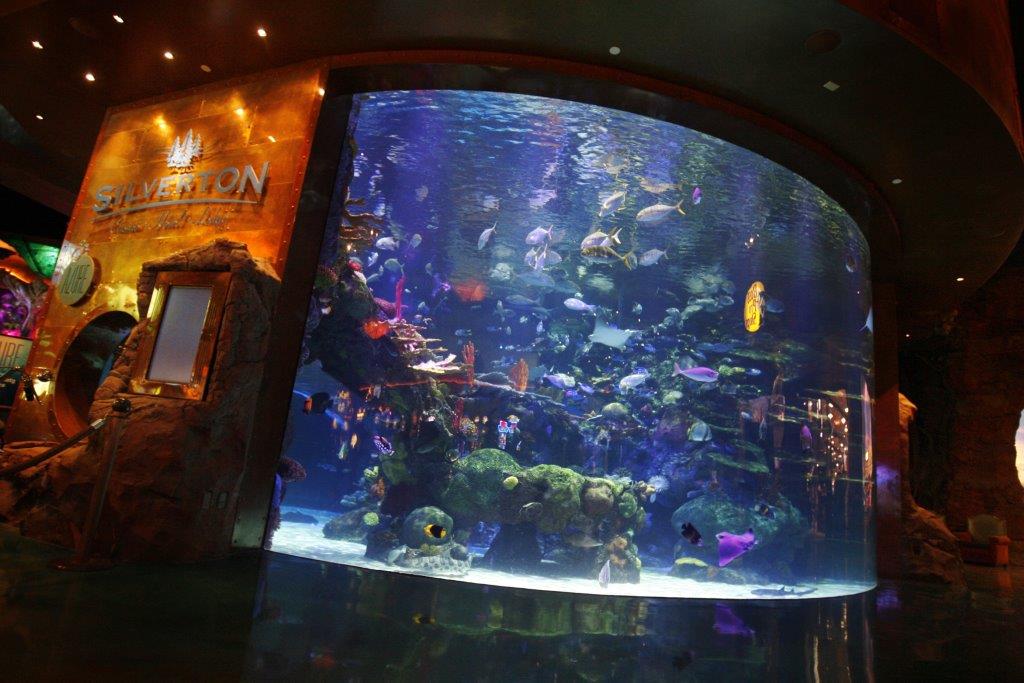 Silverton aquarium